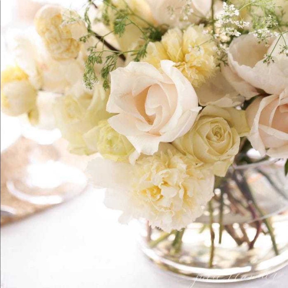 Cylindrical glass vase terrarium
